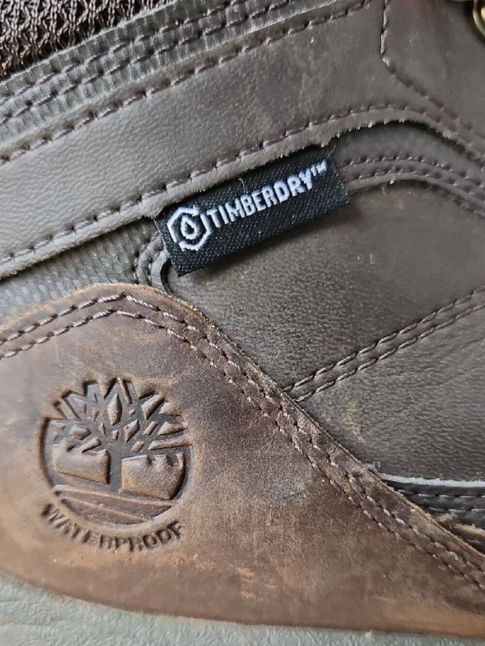 Timberland excellent explore